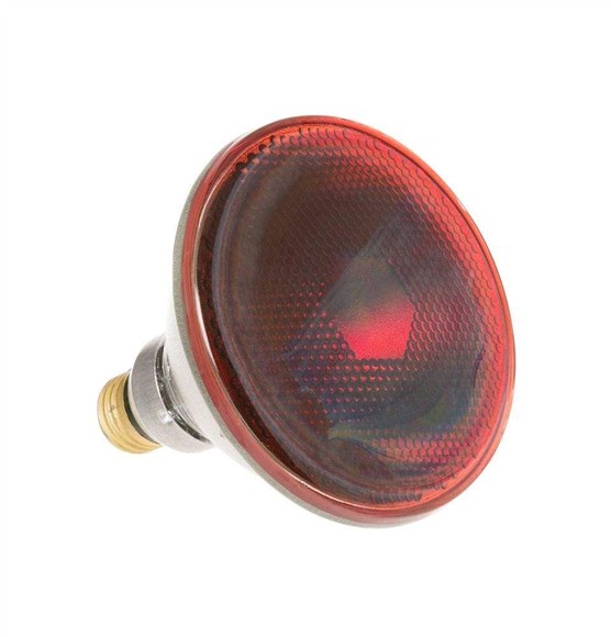 Picture of OEM GE Range Hood Heat Lamp WB25X25901