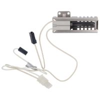 Picture of OEM Frigidaire Range Oven Ignitor Assembly 316489402