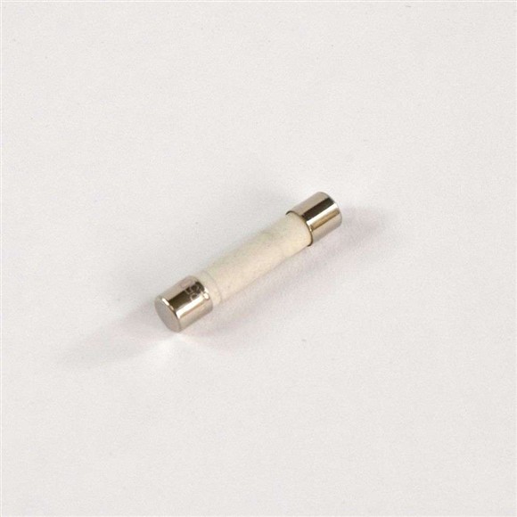 Picture of OEM GE Dryer Fuse (30-amp) WE1X21975