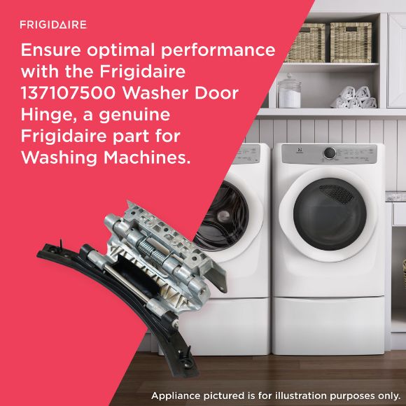 Picture of OEM Frigidaire Washer Door Hinge 137107500