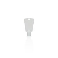 Picture of OEM Frigidaire Freezer Key 216702900
