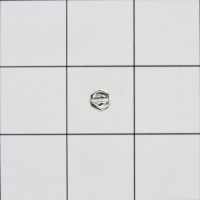 Picture of OEM Whirlpool Screw 3393439