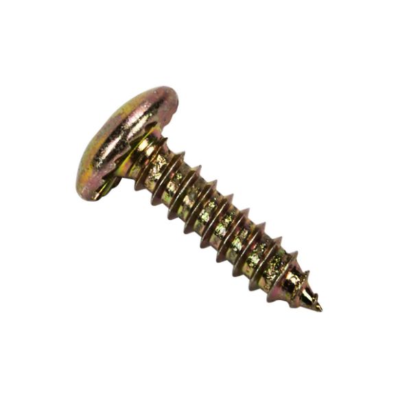 Picture of OEM Whirlpool Screw W10029700