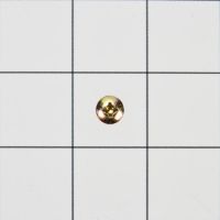 Picture of OEM Whirlpool Screw W10029700