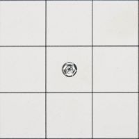 Picture of OEM Whirlpool Screw WP9740848