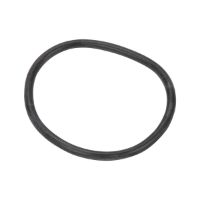 Picture of OEM Whirlpool WPW10072840 Washer Agitator O-Ring