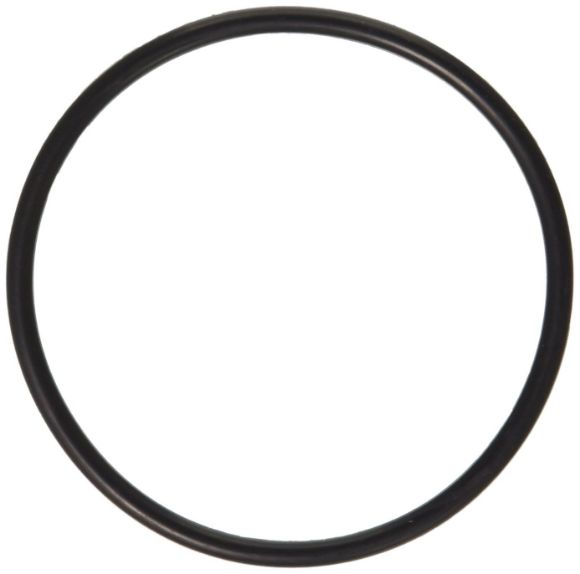 Picture of OEM Frigidaire Dishwasher Rear O-Ring 154246901