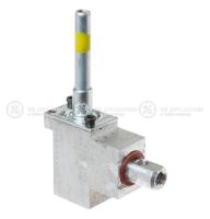 Picture of OEM GE Gas Valve Ctr WB21X29345