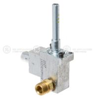 Picture of OEM GE Gas Valve Ctr WB21X29345