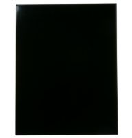 Picture of OEM GE Outer Door Bk WD31X10076