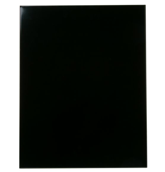 Picture of OEM GE Outer Door Bk WD31X10076