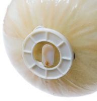 Picture of OEM GE Resin Tank WS32X10018