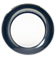 Picture of OEM General Electric (GE) WH10X29220  Washer Door