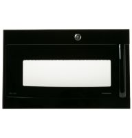 Picture of OEM GE Door Asm Bb WB56X21110