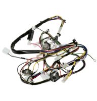 Picture of OEM General Electric (GE) WE08X29057 Harness Main Dryer Nv Gas