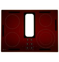 Picture of OEM General Electric (GE) WB62X45042 Maintop Assembly