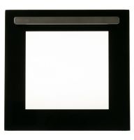 Picture of OEM General Electric (GE) WB21X43672 Oven Door Asm
