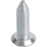 Picture of OEM Bosch 10004503 Screw