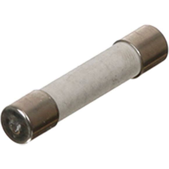 Picture of OEM Bosch 10001606 Fuse