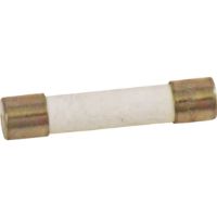 Picture of OEM Bosch 10001606 Fuse