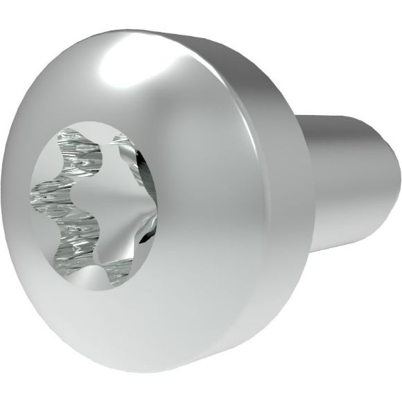Picture of OEM Bosch 10000873 Screw