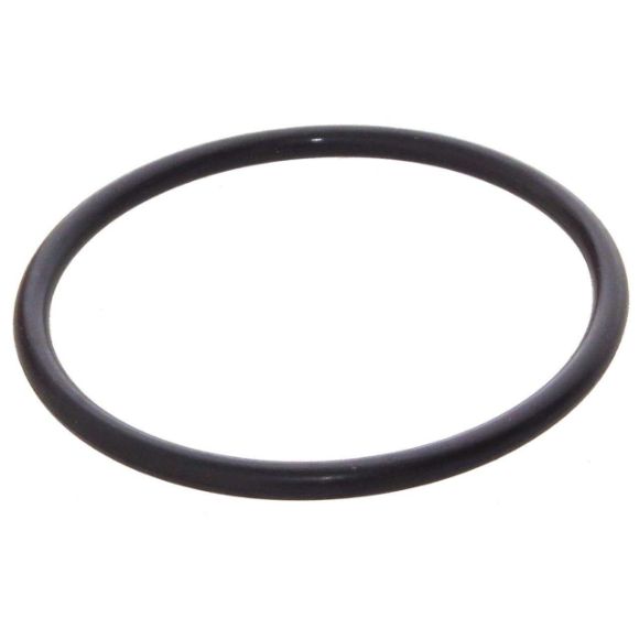 Picture of Whirlpool WPW10072840 Washer Agitator O-Ring