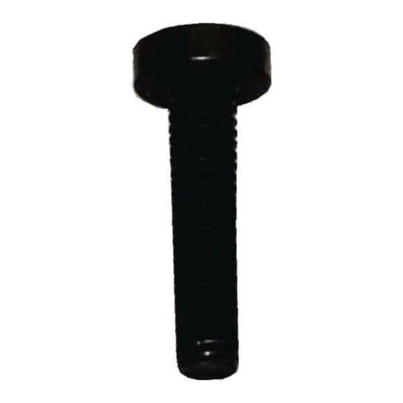 Picture of Bosch Screw 10004531